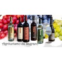 AGRITURISMO DA SAGRARO - Promozione online pacchetto degustazione vini Colli Berici Vicentini